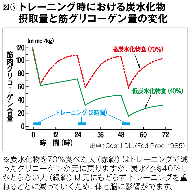 肝 グリコーゲン 枯渇