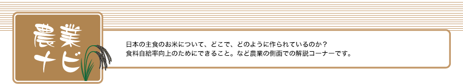 農業ナビ お米の生産のことをよく知って、私たちにできることは何か、知ってみよう！！
