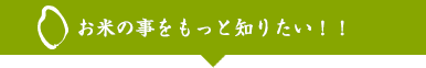 お米の事をもっと知りたい！！